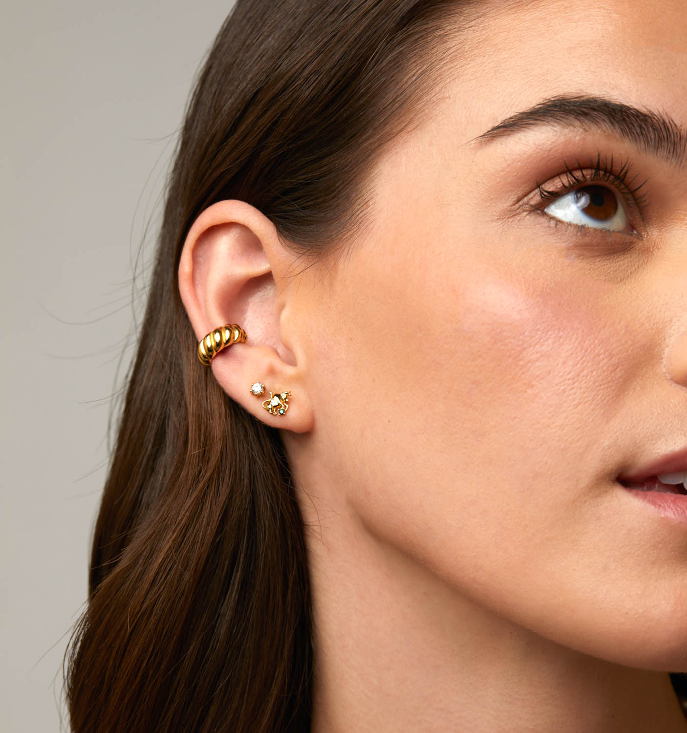 Taurus Earrings
