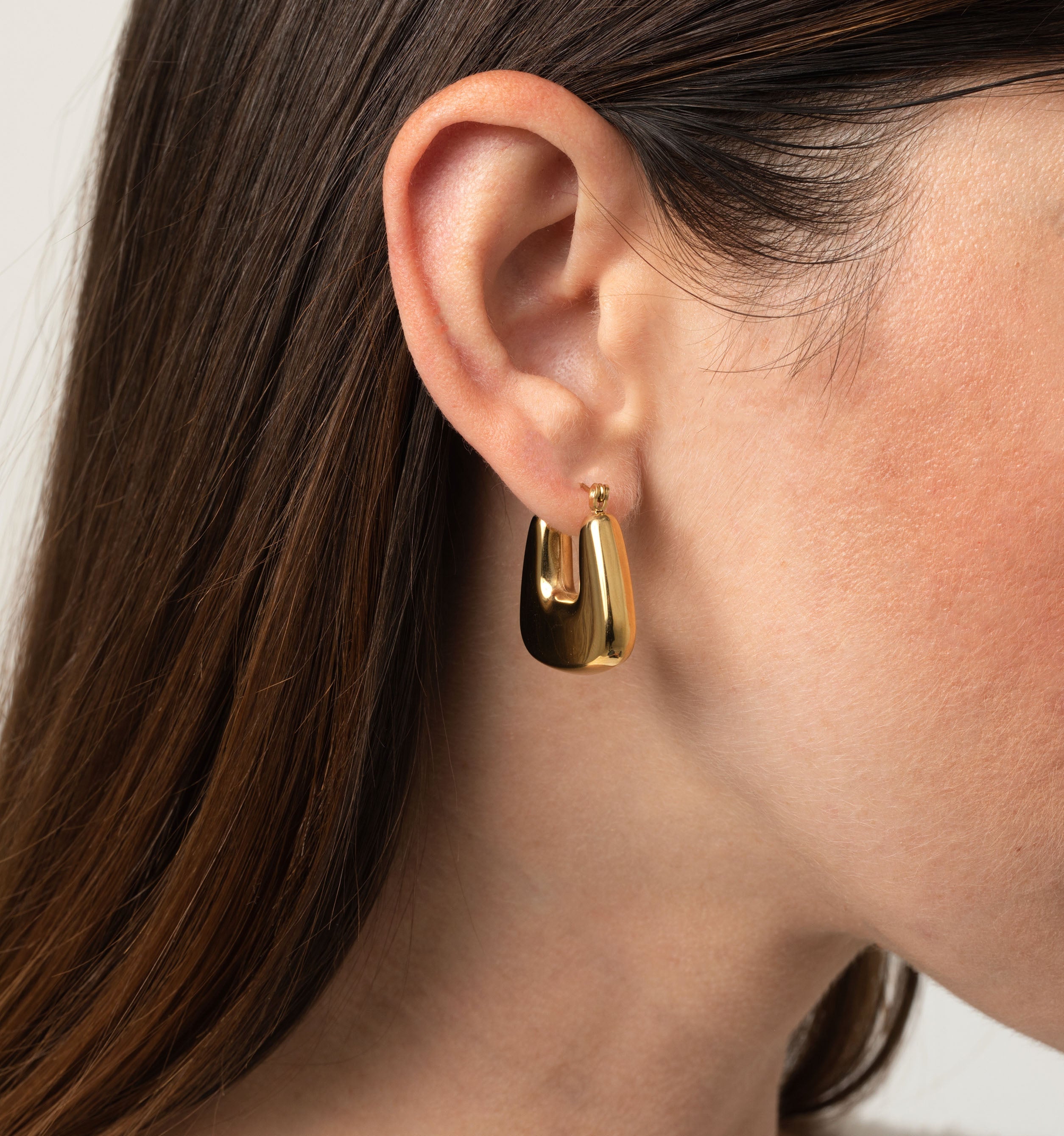 Nadia Hoops Earrings
