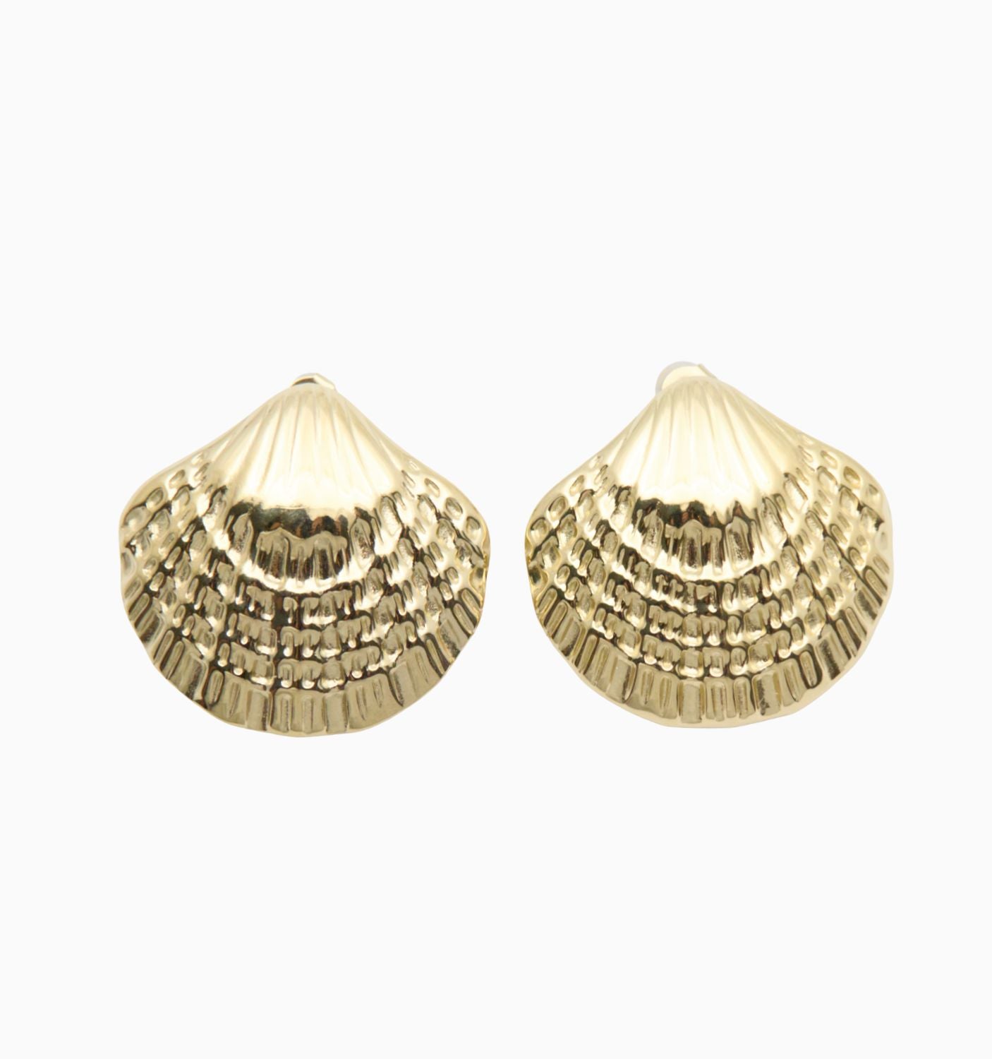 Under the Sea Shell Earrings