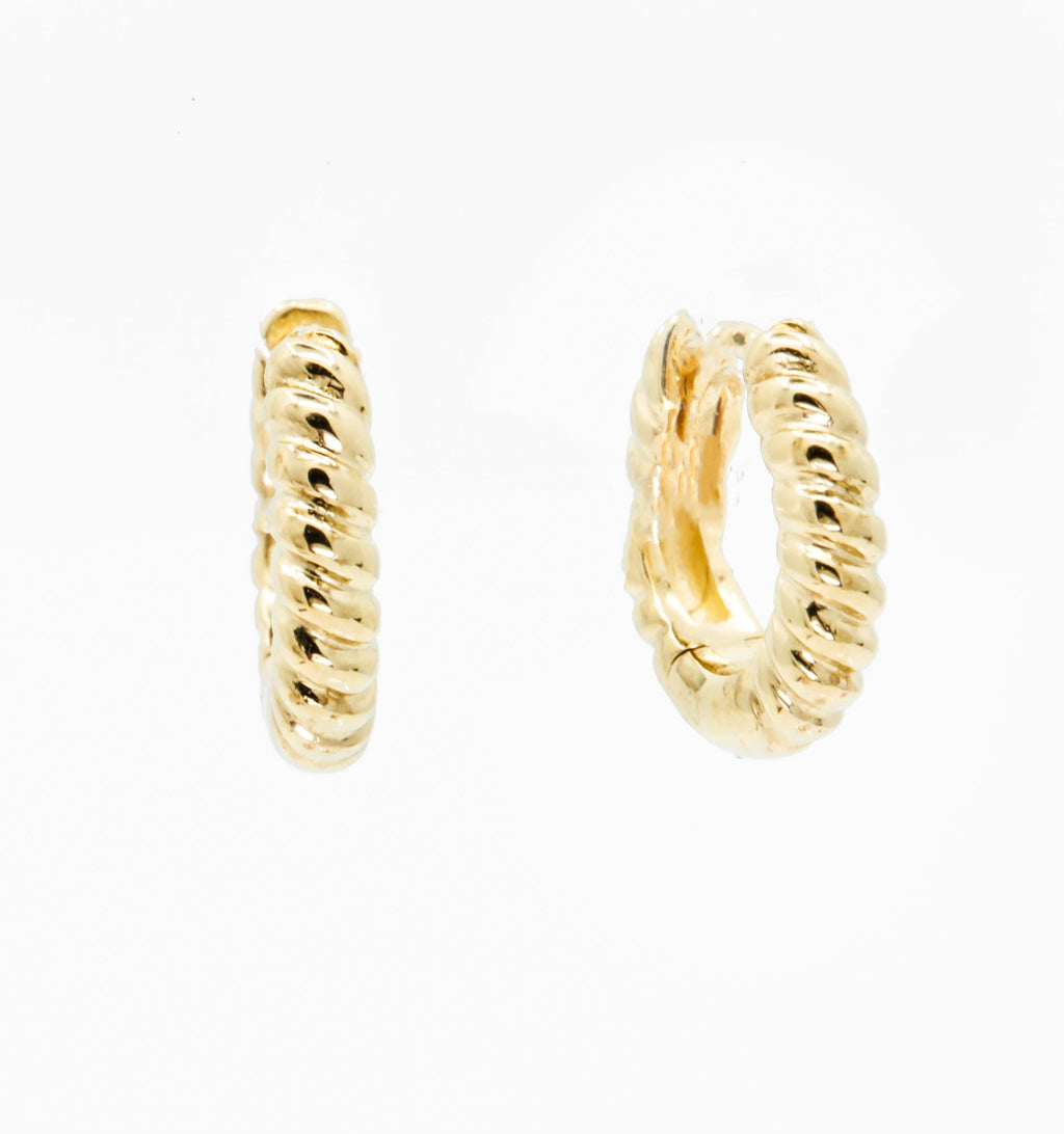 Small Gold Hoop Earrings