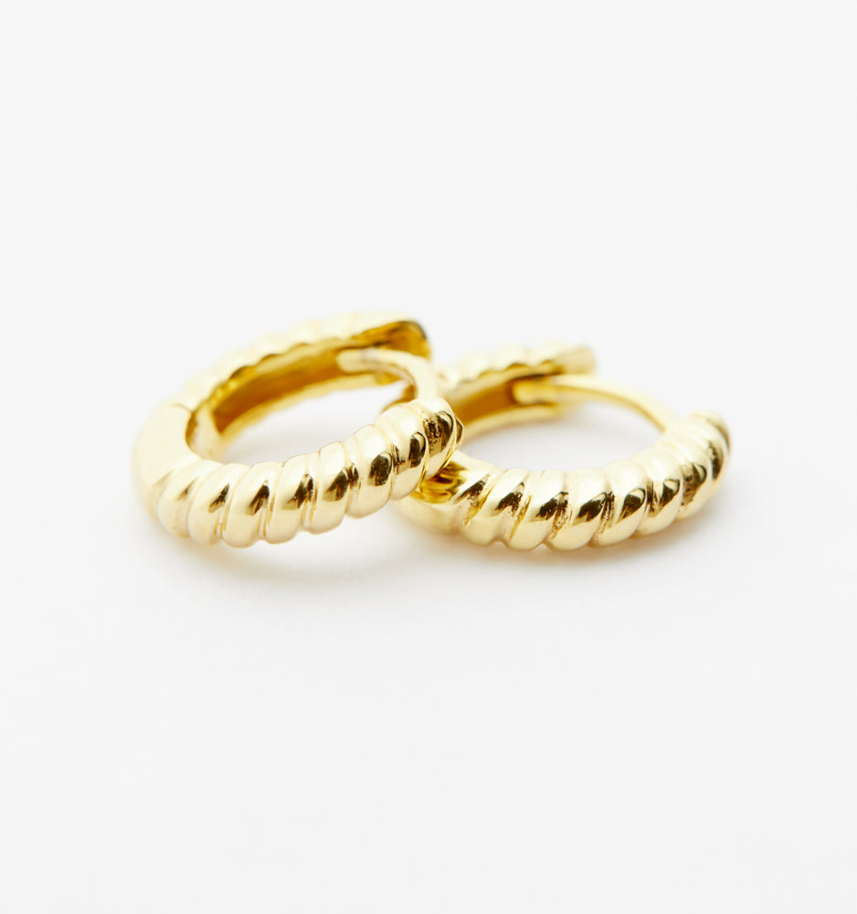 Small Gold Hoop Earrings
